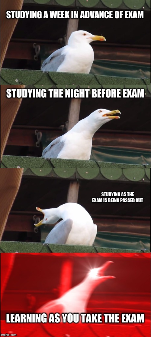 Inhaling Seagull | STUDYING A WEEK IN ADVANCE OF EXAM; STUDYING THE NIGHT BEFORE EXAM; STUDYING AS THE EXAM IS BEING PASSED OUT; LEARNING AS YOU TAKE THE EXAM | image tagged in memes,inhaling seagull | made w/ Imgflip meme maker