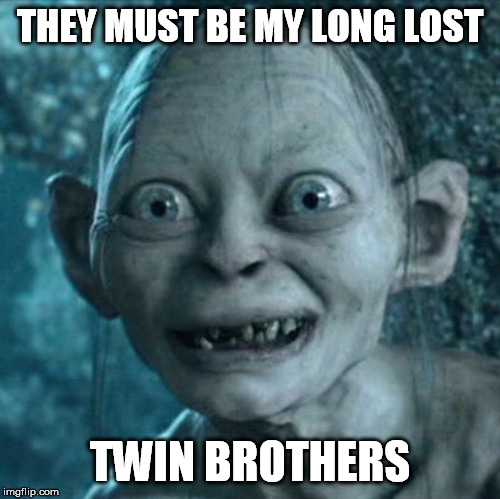Gollum Meme | THEY MUST BE MY LONG LOST TWIN BROTHERS | image tagged in memes,gollum | made w/ Imgflip meme maker