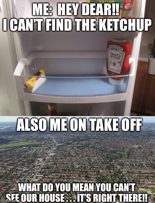 As a Student Pilot...This Sums Up my Wife and I Perfectly | ME:  HEY DEAR!!  I CAN’T FIND THE KETCHUP; ALSO ME ON TAKE OFF; WHAT DO YOU MEAN YOU CAN’T SEE OUR HOUSE . . . IT’S RIGHT THERE!! | image tagged in aviation,marriage | made w/ Imgflip meme maker