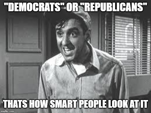 Gomer Pyle | "DEMOCRATS" OR "REPUBLICANS" THATS HOW SMART PEOPLE LOOK AT IT | image tagged in gomer pyle | made w/ Imgflip meme maker
