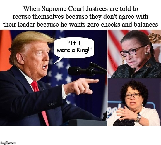 Trump If I Were A King | image tagged in trump if i were a king | made w/ Imgflip meme maker