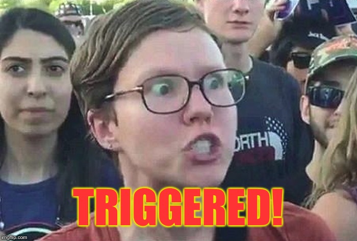 Triggered Liberal | TRIGGERED! | image tagged in triggered liberal | made w/ Imgflip meme maker