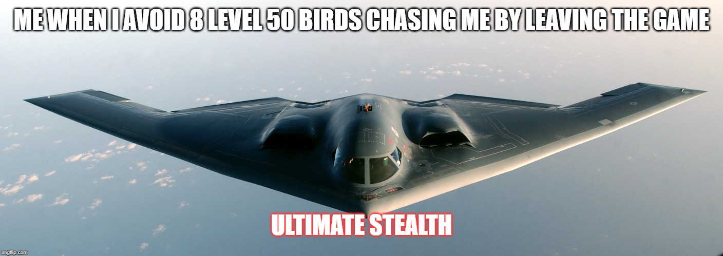 ME WHEN I AVOID 8 LEVEL 50 BIRDS CHASING ME BY LEAVING THE GAME; ULTIMATE STEALTH | image tagged in lotro | made w/ Imgflip meme maker