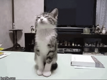 3qz1jw.gif