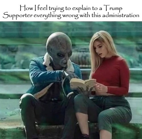 Trying To Explain To A Trump Supporter Everything Wrong Blank Meme Template