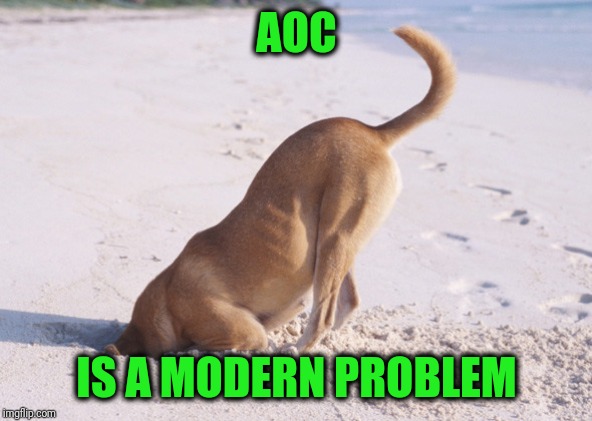 AOC IS A MODERN PROBLEM | image tagged in head in the sand | made w/ Imgflip meme maker