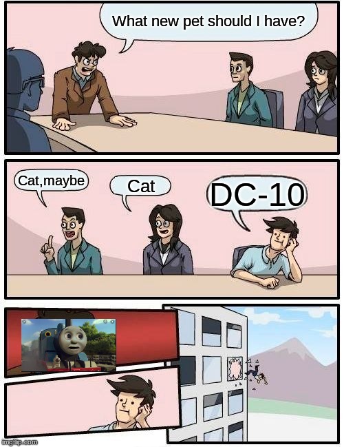 Boardroom Meeting Suggestion Meme | What new pet should I have? Cat,maybe; Cat; DC-10 | image tagged in memes,boardroom meeting suggestion | made w/ Imgflip meme maker