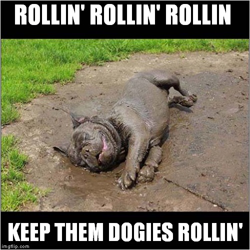 A Dogs 'Rawhide' Tribute | ROLLIN' ROLLIN' ROLLIN; KEEP THEM DOGIES ROLLIN' | image tagged in fun,dogs,rawhide theme | made w/ Imgflip meme maker