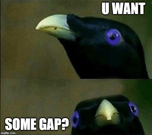 you want sum fuk | U WANT; SOME GAP? | image tagged in you want sum fuk | made w/ Imgflip meme maker