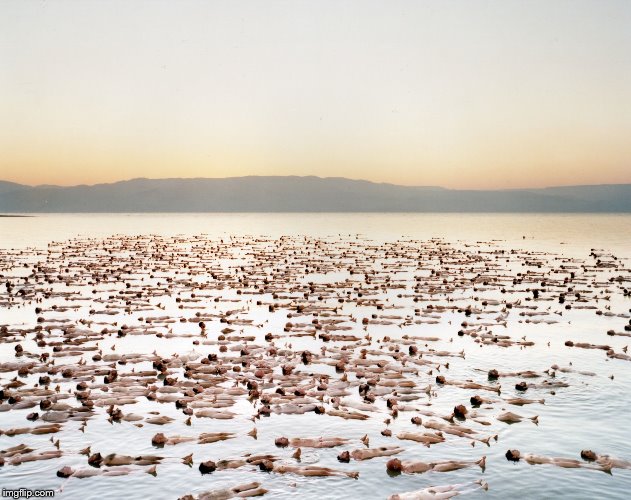 SITW | image tagged in sitw | made w/ Imgflip meme maker