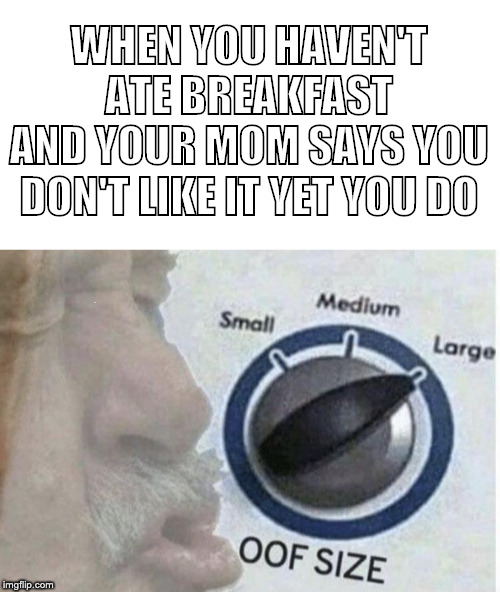 WHEN YOU HAVEN'T ATE BREAKFAST
AND YOUR MOM SAYS YOU DON'T LIKE IT YET YOU DO; TEST | image tagged in oof size large | made w/ Imgflip meme maker