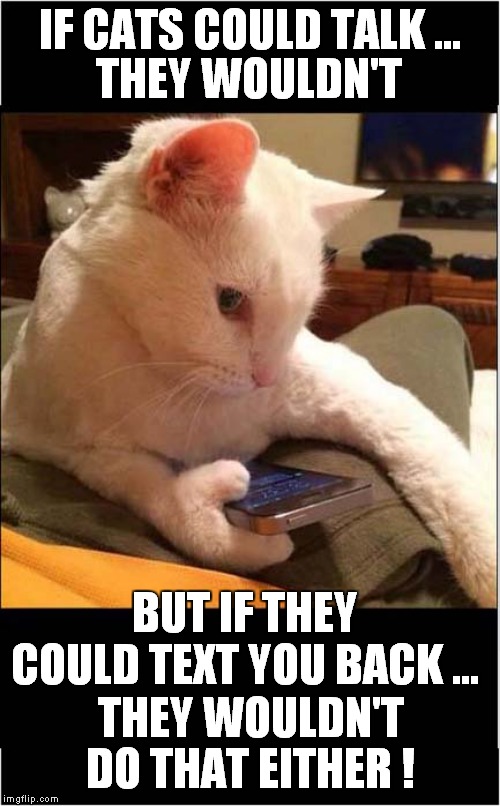 A Polydactyl Cats Disdain | IF CATS COULD TALK …; THEY WOULDN'T; BUT IF THEY COULD TEXT YOU BACK ... THEY WOULDN'T; DO THAT EITHER ! | image tagged in cats,communication,repost | made w/ Imgflip meme maker