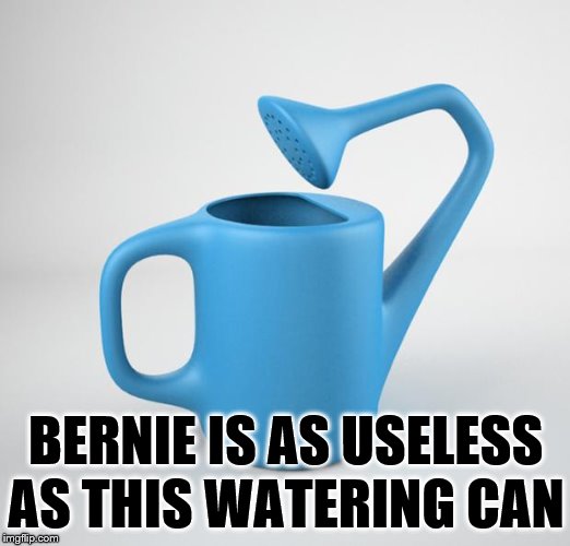 About as much as he gives to charity, just to himself. | BERNIE IS AS USELESS AS THIS WATERING CAN | image tagged in useless stuff,socialism,bernie sanders | made w/ Imgflip meme maker