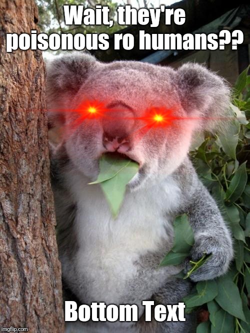 Surprised Koala Meme | Wait, they're poisonous ro humans?? Bottom Text | image tagged in memes,surprised koala | made w/ Imgflip meme maker
