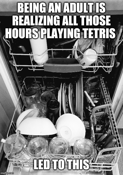 Adulting | BEING AN ADULT IS REALIZING ALL THOSE HOURS PLAYING TETRIS; LED TO THIS | image tagged in adulting,gaming | made w/ Imgflip meme maker