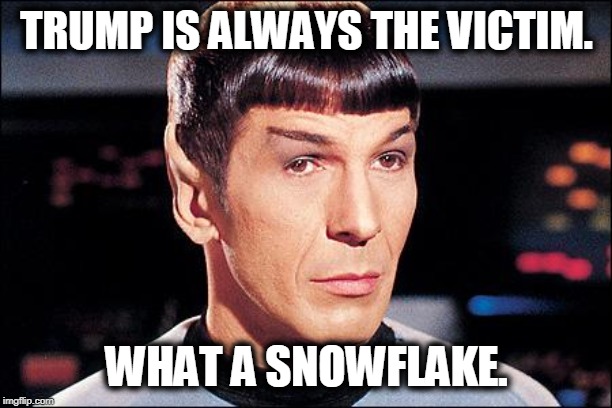 Condescending Spock | TRUMP IS ALWAYS THE VICTIM. WHAT A SNOWFLAKE. | image tagged in condescending spock | made w/ Imgflip meme maker