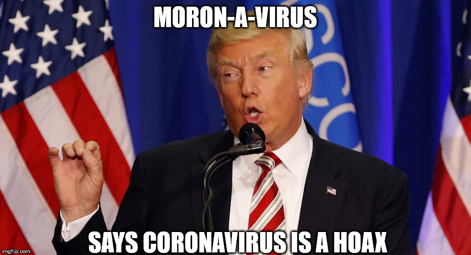 MORON-A-VIRUS; SAYS CORONAVIRUS IS A HOAX | image tagged in donald trump,coronavirus,moron,cdc,idiot,virus | made w/ Imgflip meme maker