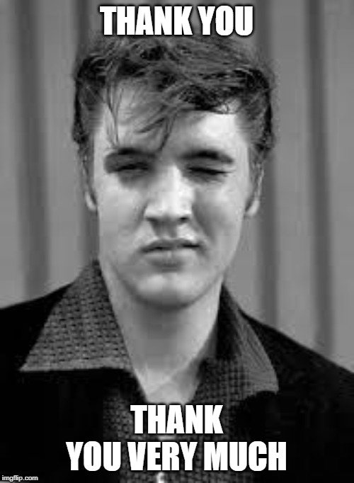 elvis | THANK YOU THANK YOU VERY MUCH | image tagged in elvis | made w/ Imgflip meme maker