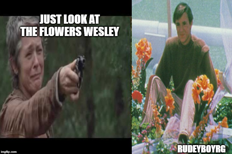 Look At the Flowers Wesley | JUST LOOK AT THE FLOWERS WESLEY; RUDEYBOYRG | image tagged in look at the flowers,wesley crusher,star trek,the walking dead | made w/ Imgflip meme maker