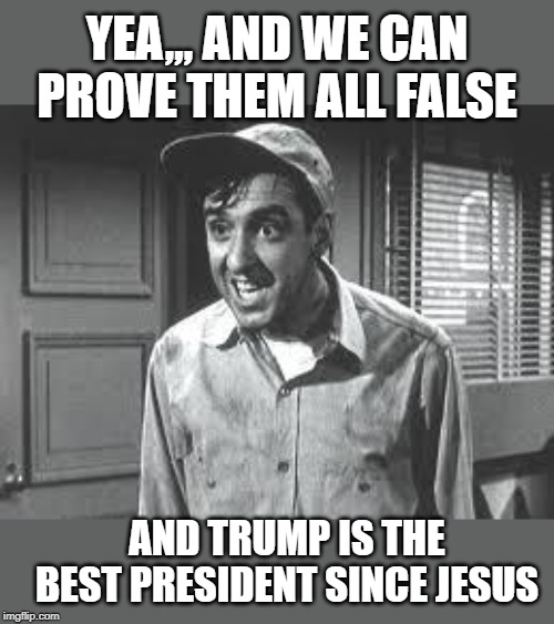 Gomer Pyle | YEA,,, AND WE CAN PROVE THEM ALL FALSE AND TRUMP IS THE BEST PRESIDENT SINCE JESUS | image tagged in gomer pyle | made w/ Imgflip meme maker