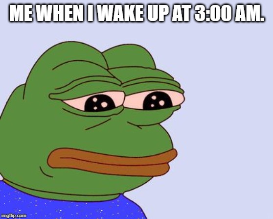 Pepe the Frog | ME WHEN I WAKE UP AT 3:00 AM. | image tagged in pepe the frog | made w/ Imgflip meme maker