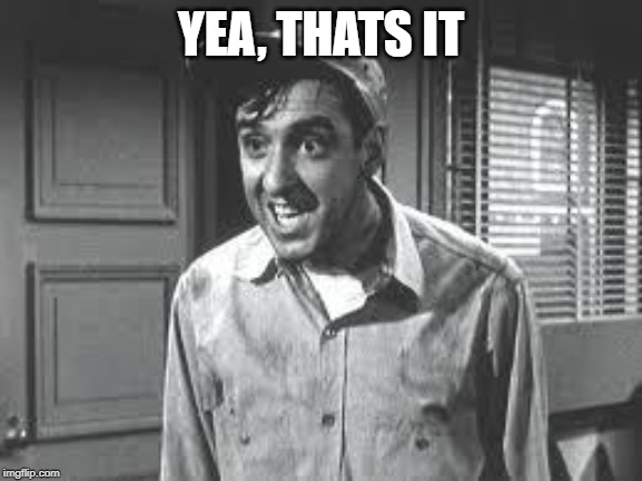 Gomer Pyle | YEA, THATS IT | image tagged in gomer pyle | made w/ Imgflip meme maker