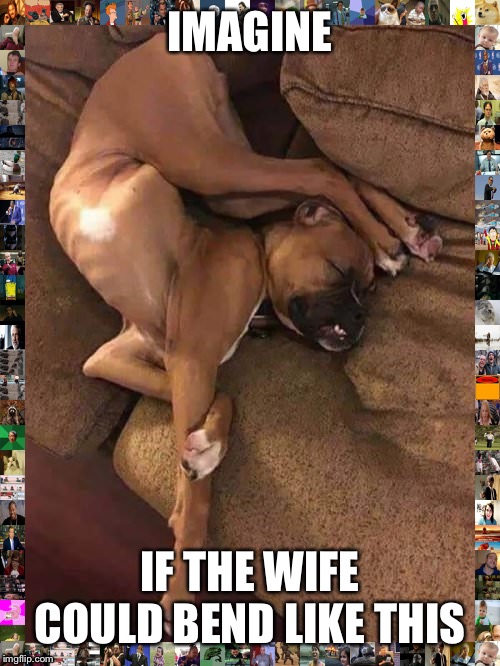 IMAGINE; IF THE WIFE COULD BEND LIKE THIS | image tagged in funny,wife,bendy | made w/ Imgflip meme maker