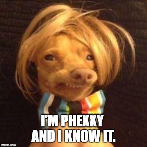 phteven dog | I'M PHEXXY  AND I KNOW IT. | image tagged in phteven dog | made w/ Imgflip meme maker