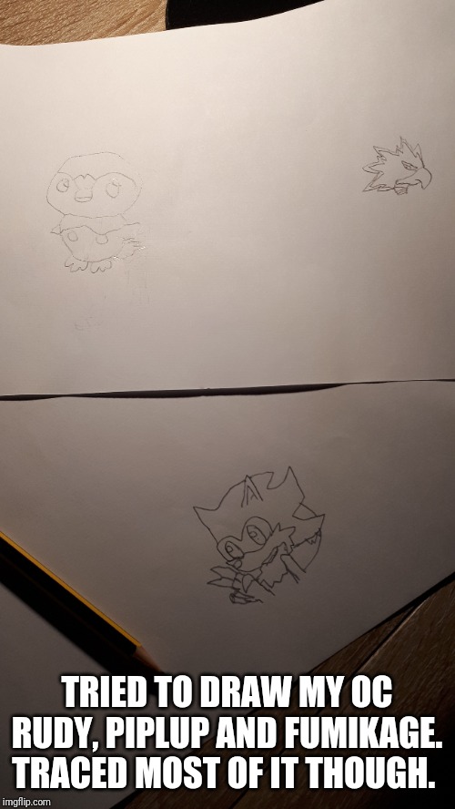 Yeah... The lighting sucks. | TRIED TO DRAW MY OC RUDY, PIPLUP AND FUMIKAGE. TRACED MOST OF IT THOUGH. | image tagged in drawing | made w/ Imgflip meme maker