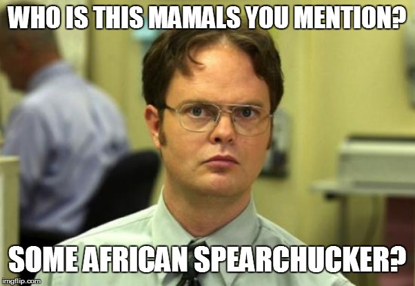 WHO IS THIS MAMALS YOU MENTION? SOME AFRICAN SPEARCHUCKER? | made w/ Imgflip meme maker