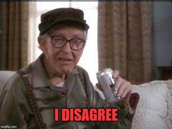 Grumpy old Man | I DISAGREE | image tagged in grumpy old man | made w/ Imgflip meme maker