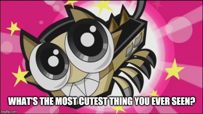 Cute Scorpi | WHAT'S THE MOST CUTEST THING YOU EVER SEEN? | image tagged in cute scorpi | made w/ Imgflip meme maker