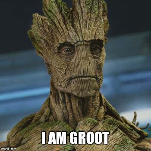 I am Groot | I AM GROOT | image tagged in i am groot | made w/ Imgflip meme maker
