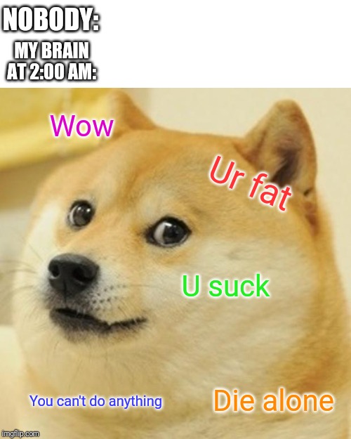 Doge | NOBODY:; MY BRAIN AT 2:00 AM:; Wow; Ur fat; U suck; Die alone; You can't do anything | image tagged in memes,doge | made w/ Imgflip meme maker