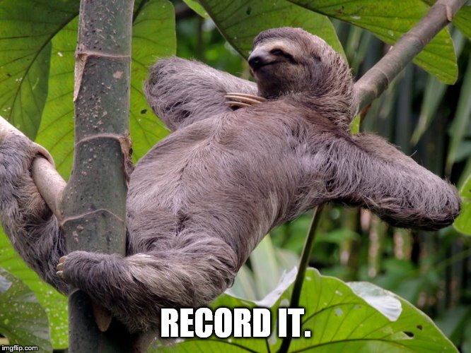 Lazy Sloth | RECORD IT. | image tagged in lazy sloth | made w/ Imgflip meme maker