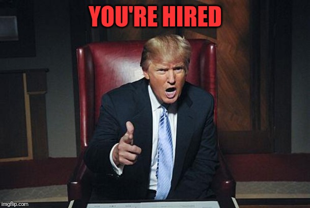 Donald Trump You're Fired | YOU'RE HIRED | image tagged in donald trump you're fired | made w/ Imgflip meme maker