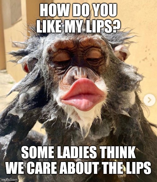 Big Lips | HOW DO YOU LIKE MY LIPS? SOME LADIES THINK WE CARE ABOUT THE LIPS | image tagged in sexy | made w/ Imgflip meme maker