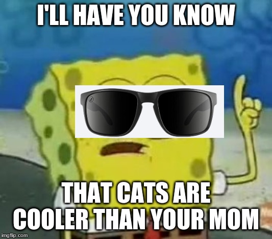 I'll Have You Know Spongebob | I'LL HAVE YOU KNOW; THAT CATS ARE COOLER THAN YOUR MOM | image tagged in memes,ill have you know spongebob | made w/ Imgflip meme maker