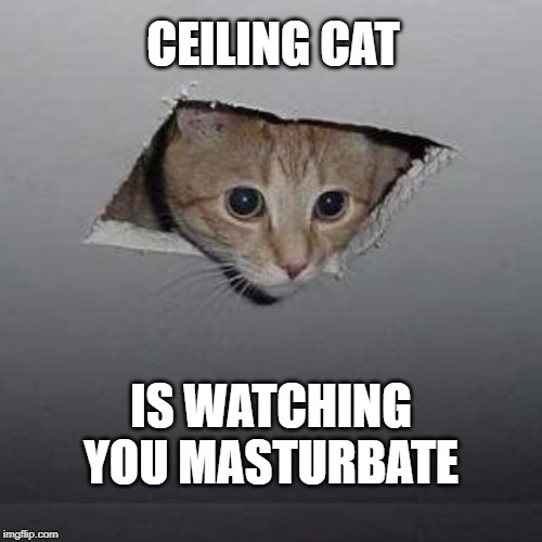 Ceiling Cat Meme | CEILING CAT; IS WATCHING YOU MASTURBATE | image tagged in memes,ceiling cat | made w/ Imgflip meme maker