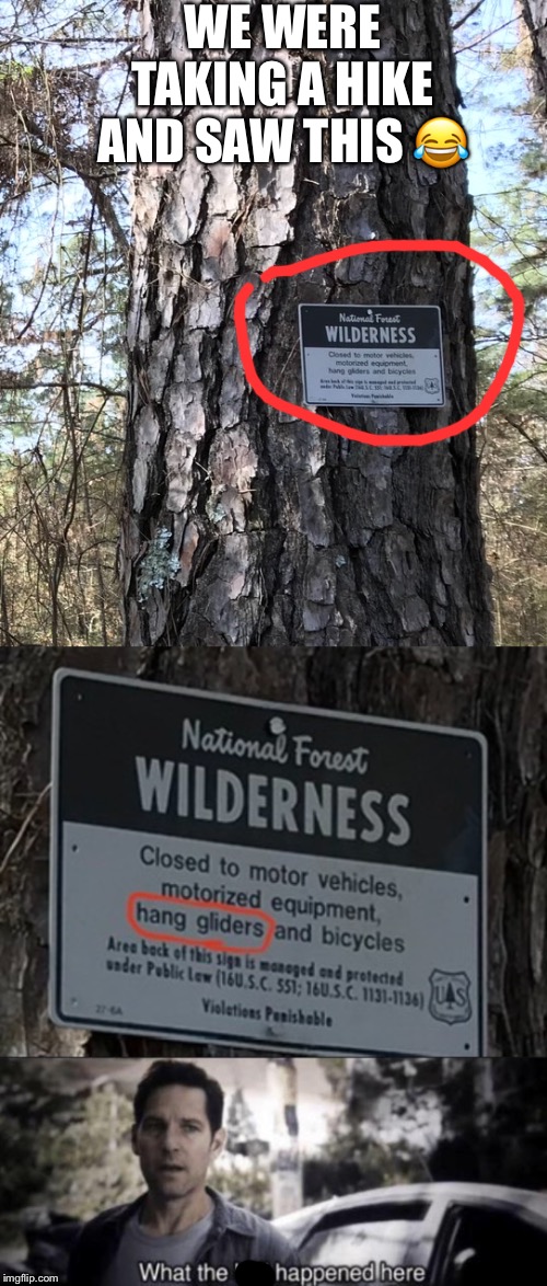 WE WERE TAKING A HIKE AND SAW THIS 😂 | image tagged in what the hell happened here | made w/ Imgflip meme maker
