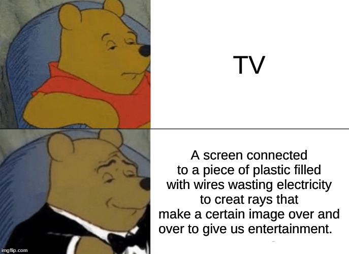 Tuxedo Winnie The Pooh Meme | TV; A screen connected to a piece of plastic filled with wires wasting electricity to creat rays that make a certain image over and over to give us entertainment. | image tagged in memes,tuxedo winnie the pooh | made w/ Imgflip meme maker