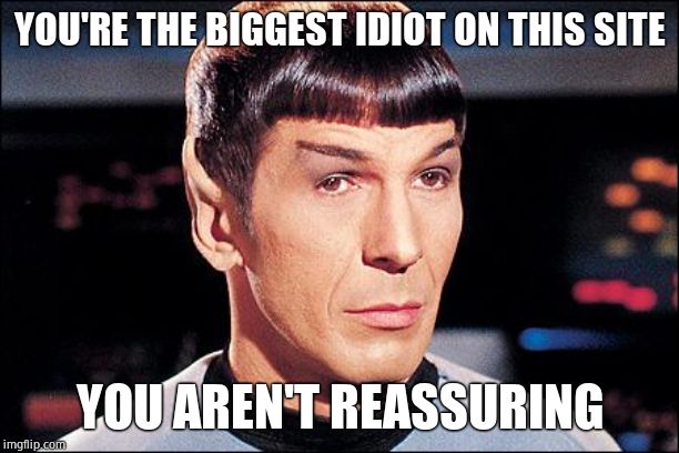 Condescending Spock | YOU'RE THE BIGGEST IDIOT ON THIS SITE YOU AREN'T REASSURING | image tagged in condescending spock | made w/ Imgflip meme maker