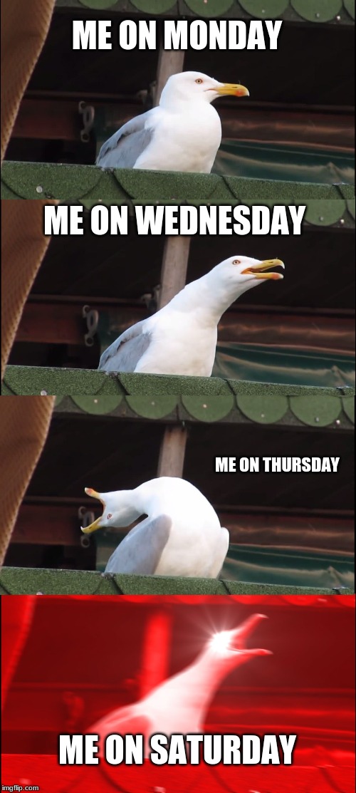 Inhaling Seagull | ME ON MONDAY; ME ON WEDNESDAY; ME ON THURSDAY; ME ON SATURDAY | image tagged in memes,inhaling seagull | made w/ Imgflip meme maker