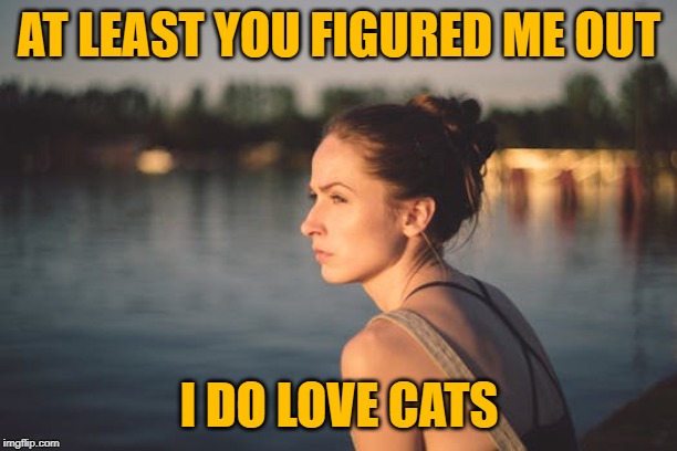 Sad woman | AT LEAST YOU FIGURED ME OUT I DO LOVE CATS | image tagged in sad woman | made w/ Imgflip meme maker