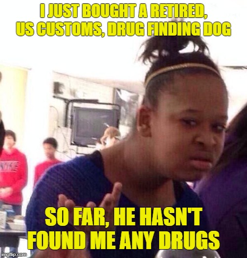 Black Girl Wat Meme | I JUST BOUGHT A RETIRED, US CUSTOMS, DRUG FINDING DOG; SO FAR, HE HASN'T FOUND ME ANY DRUGS | image tagged in memes,black girl wat | made w/ Imgflip meme maker