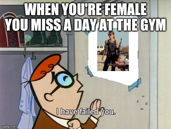 I have failed you | WHEN YOU'RE FEMALE YOU MISS A DAY AT THE GYM | image tagged in i have failed you | made w/ Imgflip meme maker