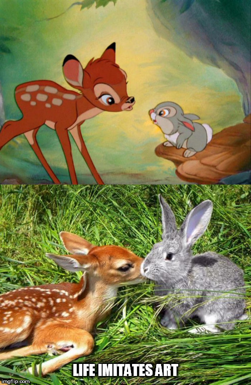 LIFE IMITATES ART | image tagged in life imitates art,bambi,thumper | made w/ Imgflip meme maker