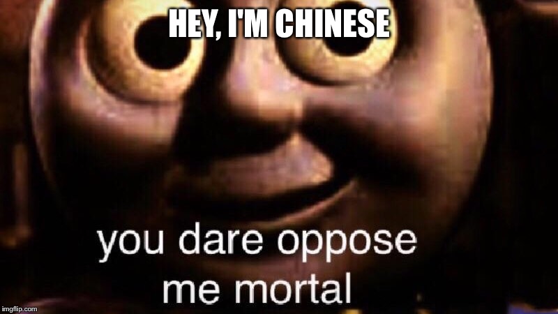 You dare oppose me mortal | HEY, I'M CHINESE | image tagged in you dare oppose me mortal | made w/ Imgflip meme maker