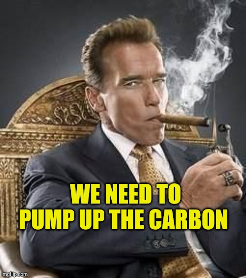 Climate Change Hoax | WE NEED TO PUMP UP THE CARBON | image tagged in arnie,hoax,climate change,scam,carbon footprint | made w/ Imgflip meme maker