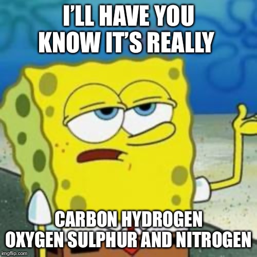 Spongebob I'll have you know | I’LL HAVE YOU KNOW IT’S REALLY CARBON HYDROGEN OXYGEN SULPHUR AND NITROGEN | image tagged in spongebob i'll have you know | made w/ Imgflip meme maker